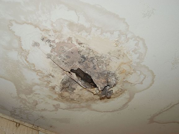 Water Damage with mold (Master Bedroom)