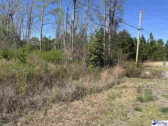 5th image of Attadale Rd