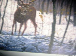 Lake Desolation Rd, Middle Grove, NY 12850