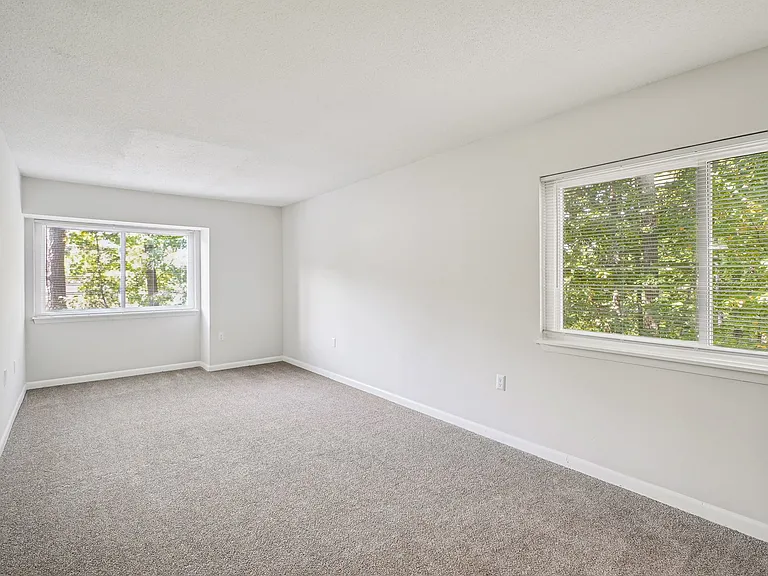Chatham Forest Apartments — Photo 12