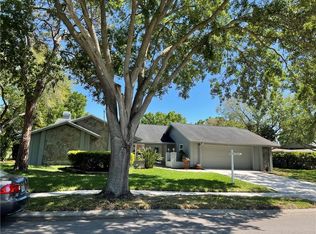 410 Holly Hill Rd, Oldsmar, FL 34677