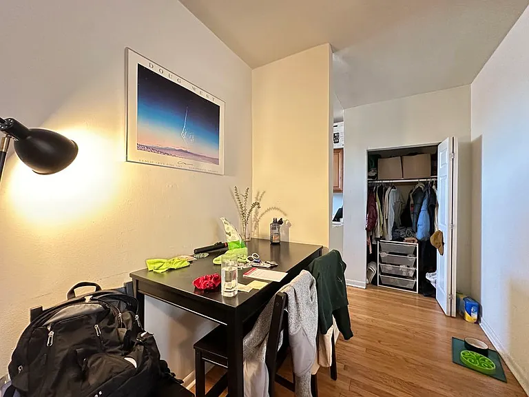 732 W Roscoe St #N4 — Photo 12