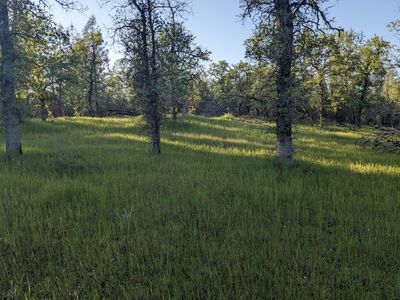 LOT 8 Neal Ln, Redding, CA, 96003