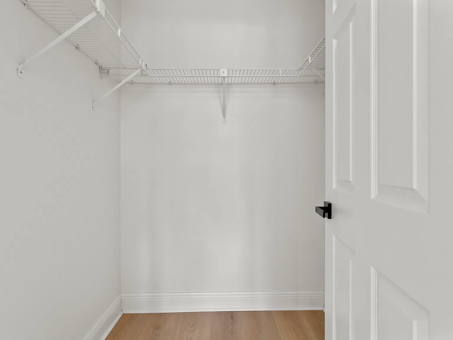 1 bed, 800 sqft, $1,600 — Photo 3