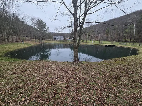 6653 Ulster Rd, Ulster, PA 18850