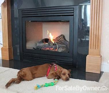 The Doggie Enjoys Gas Logs on Cold Days!
						:
						Two Thirty (30) Lb. tanks included