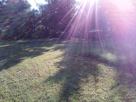 Huge fenced back yard