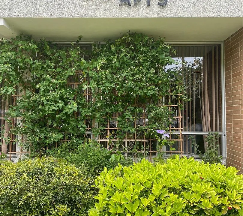 Marnae Apartments