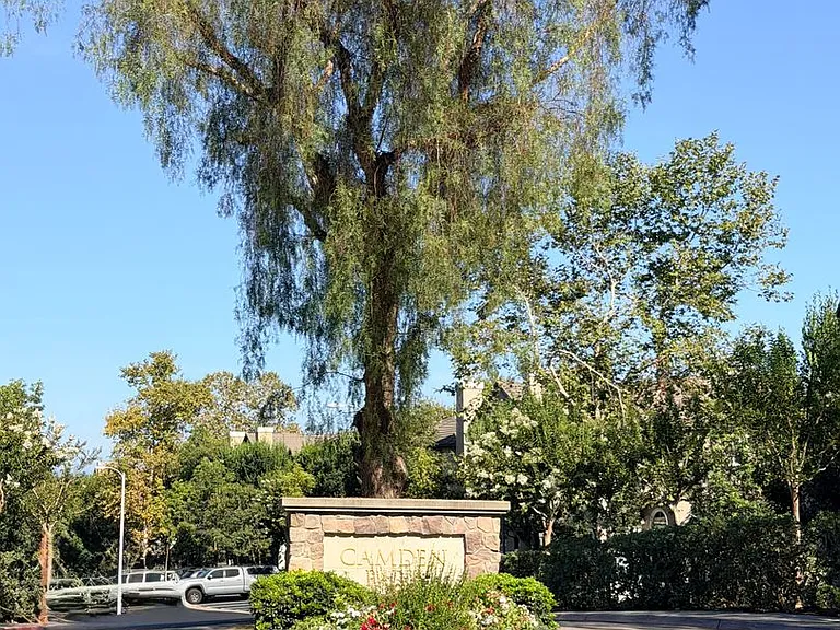 23 Tulare Dr — Photo 22