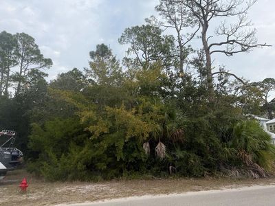 199 14th St, Apalachicola, FL, 32320