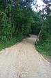 New road meandering into property