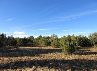 Highway 61, Vernon, AZ 85940