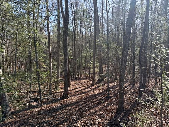 4th image of 1156 Liberty Rd