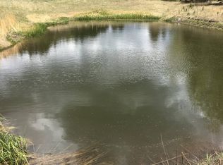 974 W Bison Creek Trl, Divide, CO 80814