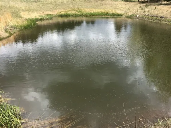 974 W Bison Creek Trl, Divide, CO 80814