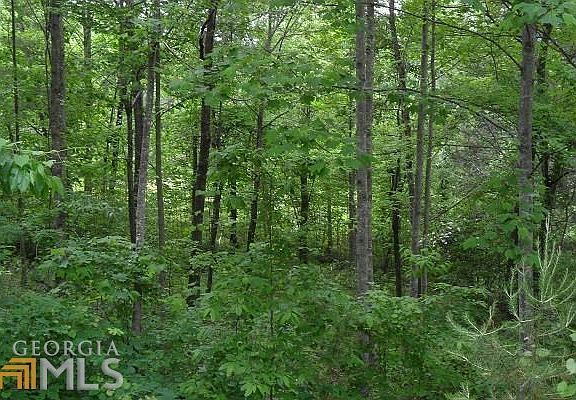 4th image of 335 Glazenwood Dr