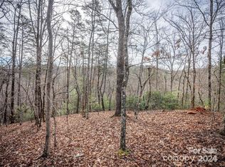 163 Pheasant St #163, Lake Lure, NC 28746