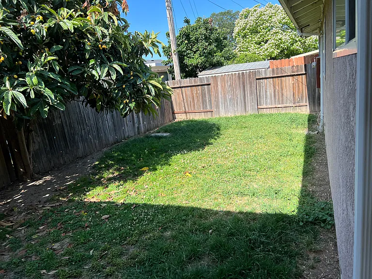 Back yard garden