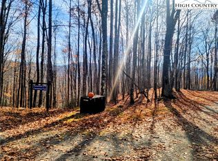 201 Sourwood Lane, Beech Mountain, NC 28604