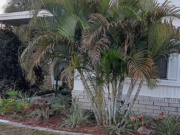 7499 46th Ave N #52, Saint Petersburg, FL 33709