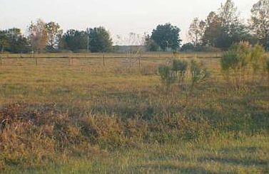 2nd image of 13330 Sugarloaf Ct
