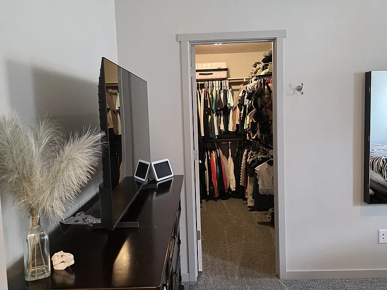 3046 Red Pear Dr — Photo 22