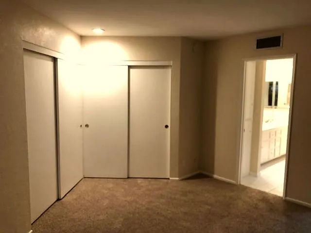 Double closets in master bedroom