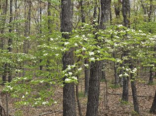 TRACT Golden Leaf Ln #C, Lebanon, MO 65536