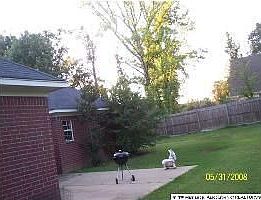 2nd image of 1118 Dogwood Hollow Dr