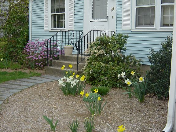 Spring Flowers