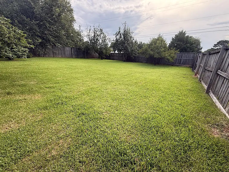 The back yard is large.
