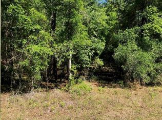 00 SW 197 Ter, Dunnellon, FL 34431