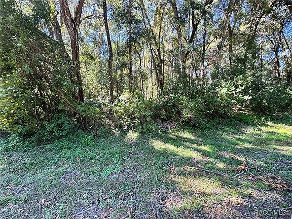 4th image of 10638 N Citrus Springs Blvd