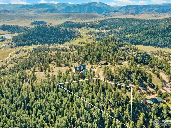 90 Sunlight Cir, Livermore, CO 80536