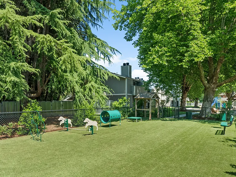 Spacious on-site dog park with agility features and shaded seating.