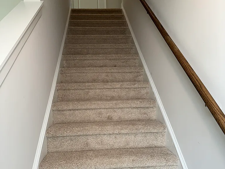 4007 Calabash Ct — Photo 11