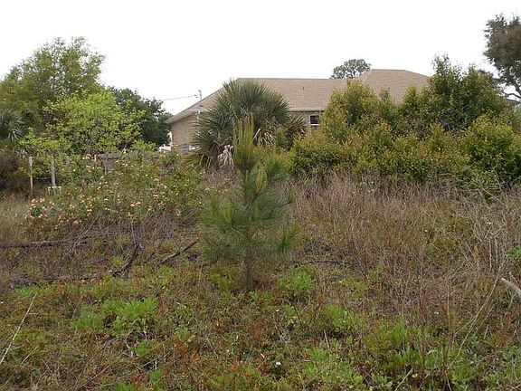5th image of 3326 Laurel Dr