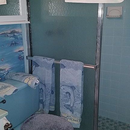 Dolphin room shower