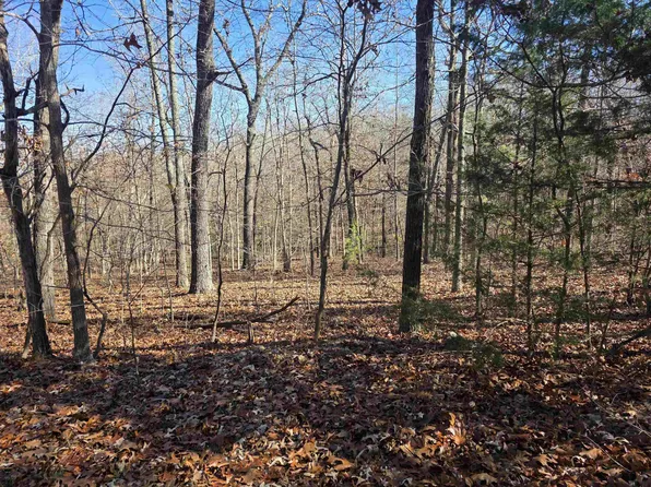 L11-B5 Wasatch Trl, Cherokee Village, AR 72529