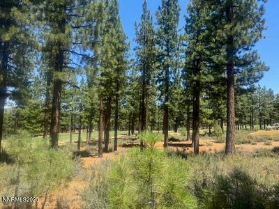 184 Redding Way #261, Carson City, NV, 89705