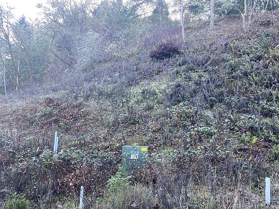 5th image of 278 Deer Fern Way