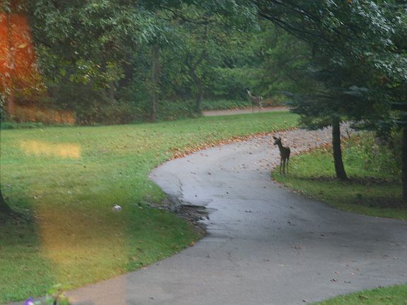 View from the front door