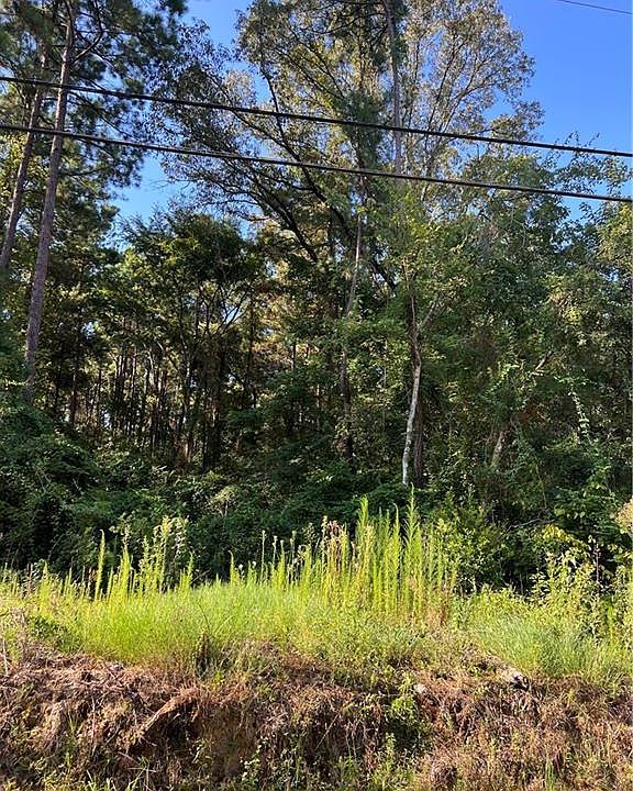 2nd image of 0 Brannon Rd