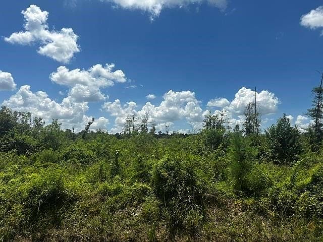 1st image of 0 Piney Point Ln