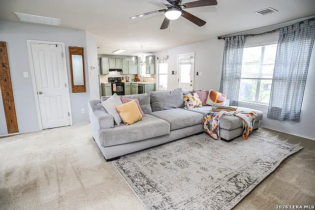100 Steer Ln — Photo 12