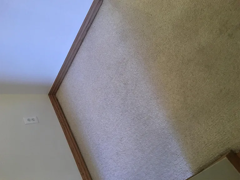 111 Fox Run Pl #B — Photo 57