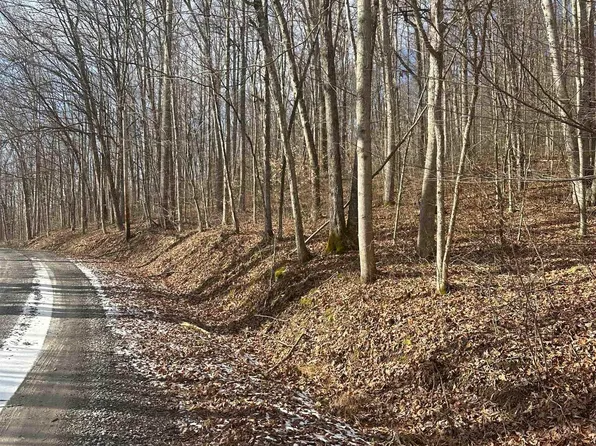 Reed Rd, Philippi, WV 26416