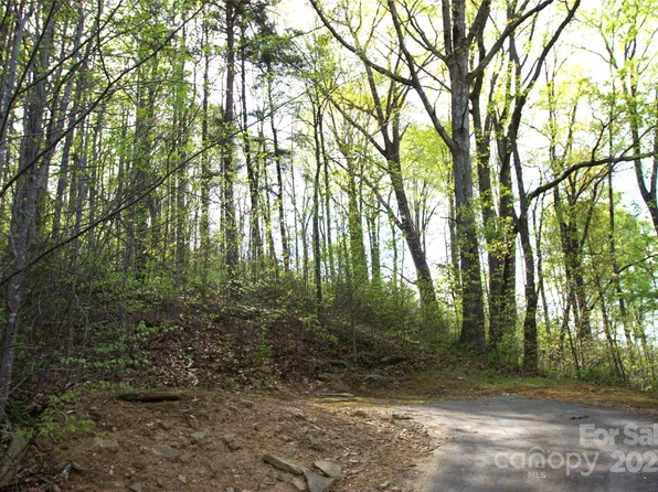 58 Ashewood Mountain Way, Candler, NC 28715