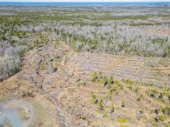 7013 Highway 6, Three Brooks, NS B0K 1H0