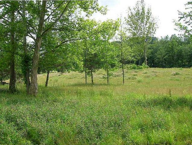 2nd image of 224 Trouttown Rd